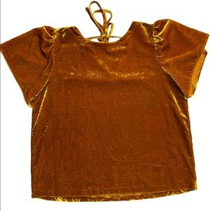Loft Crushed Velvet Gold Top